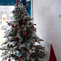 MdM Noël 2025 - DenisGuyot (1)
